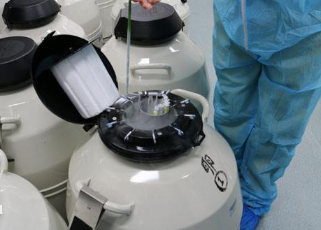 牛羊豬等動物(wù)凍精和(hé)胚胎